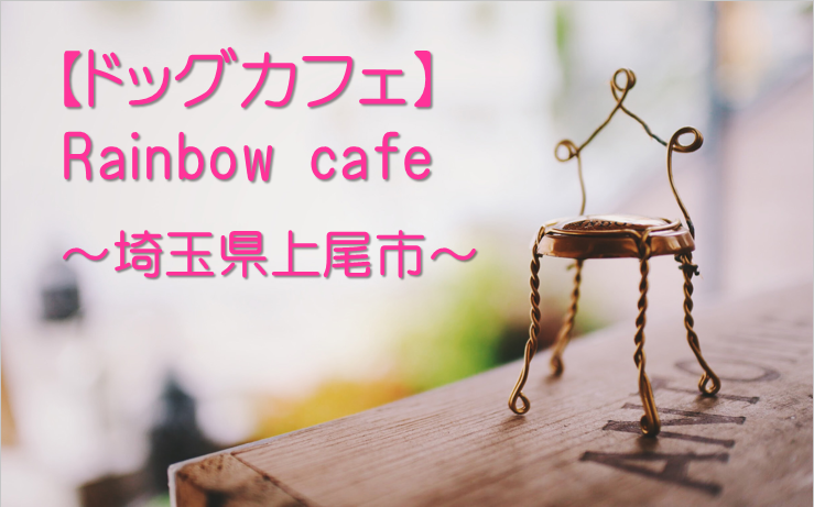 ドッグカフェ Rainbow Cafe 埼玉県上尾市 愛犬と一緒にテラス席で食事ができるお店 ドッグセラピストmamioの部屋